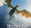 Meu Amigo, O Dragão