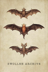 Swollen Archive (Swollen Archive)