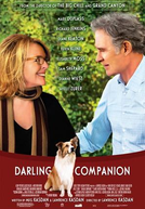 Querido Companheiro (Darling Companion)