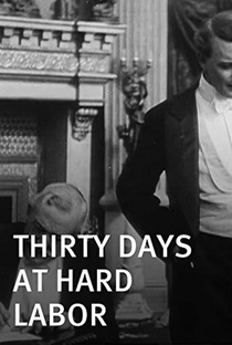 Thirty Days at Hard Labor - Poster / Capa / Cartaz - Oficial 1