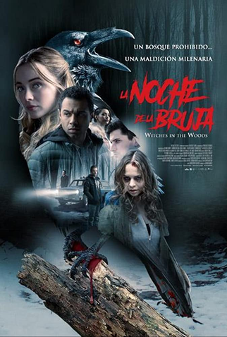 Poster 2 de Filme Witches in the Woods (2019)
