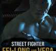 Street Fighter - Resurrection - Fei-Long vs Vega - Enter the Dragon