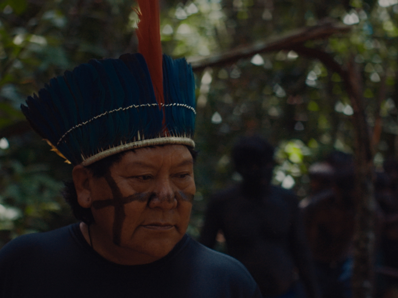 Foto 1 de A Última Floresta