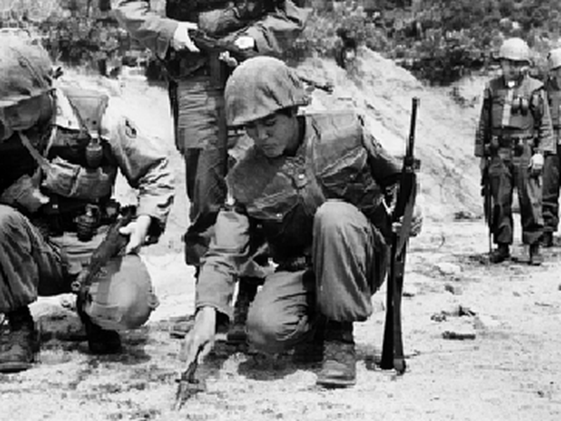 Foto 8 de Cessar Fogo