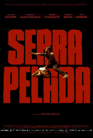 Poster 3 de Filme Serra Pelada (2013)