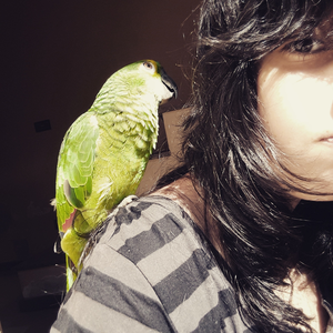 Foto de perfil de Lil