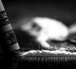 Cocaine, Cartels & Crackdowns