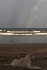 A Day on GOD Island (A Day on GOD Island)