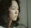 6회