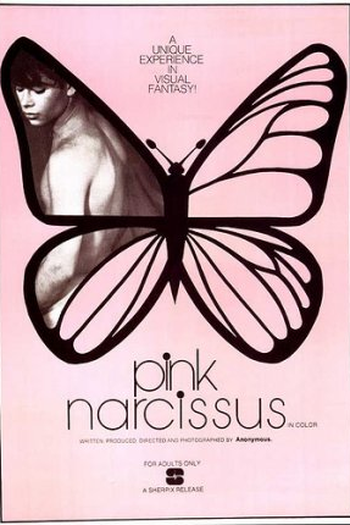  de Filme Pink Narcissus (1971)