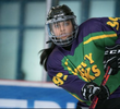 Twigs