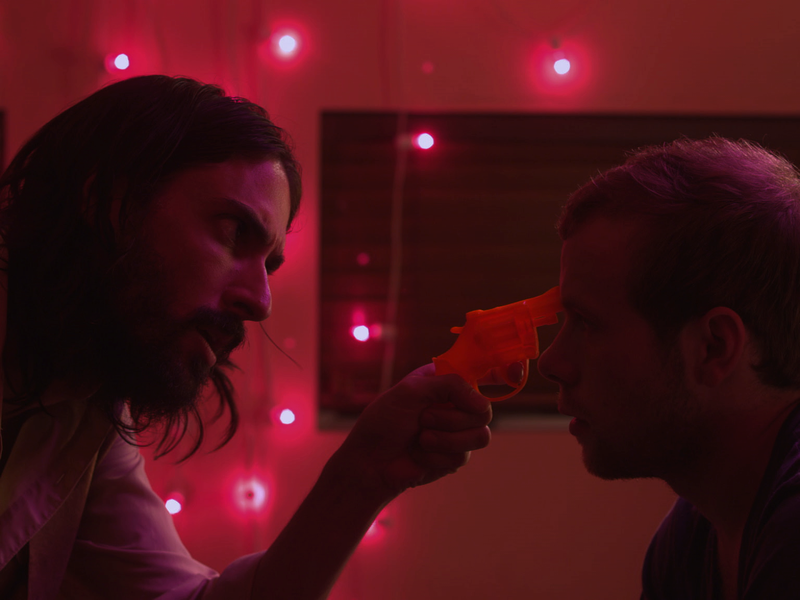 Foto 1 de American Animal