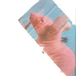 Foto de perfil de Qnac S.