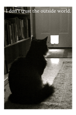 Henri (Henri)