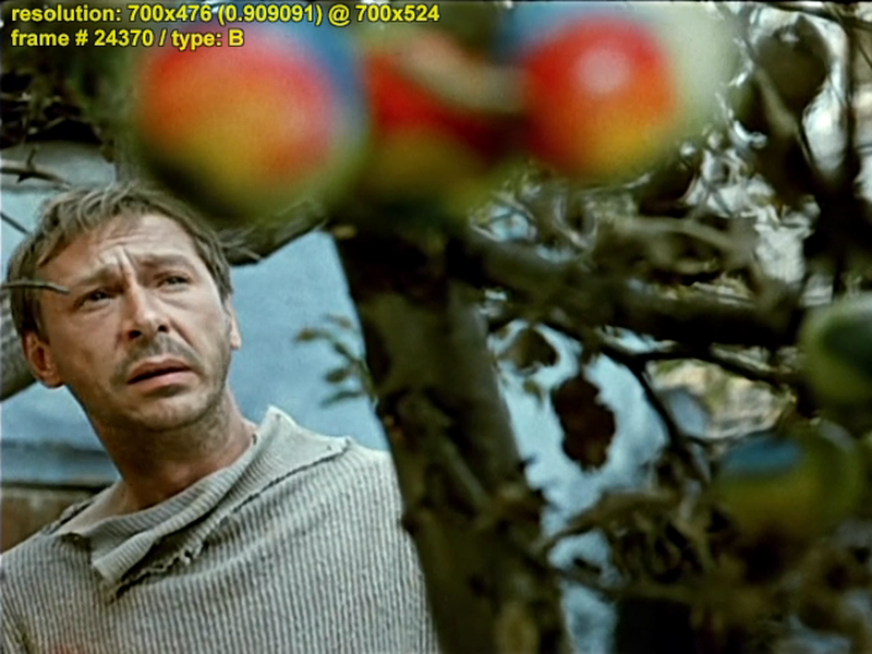 Foto 2 de Shine, Shine, My Star 