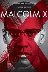 Malcolm X (Malcolm X)