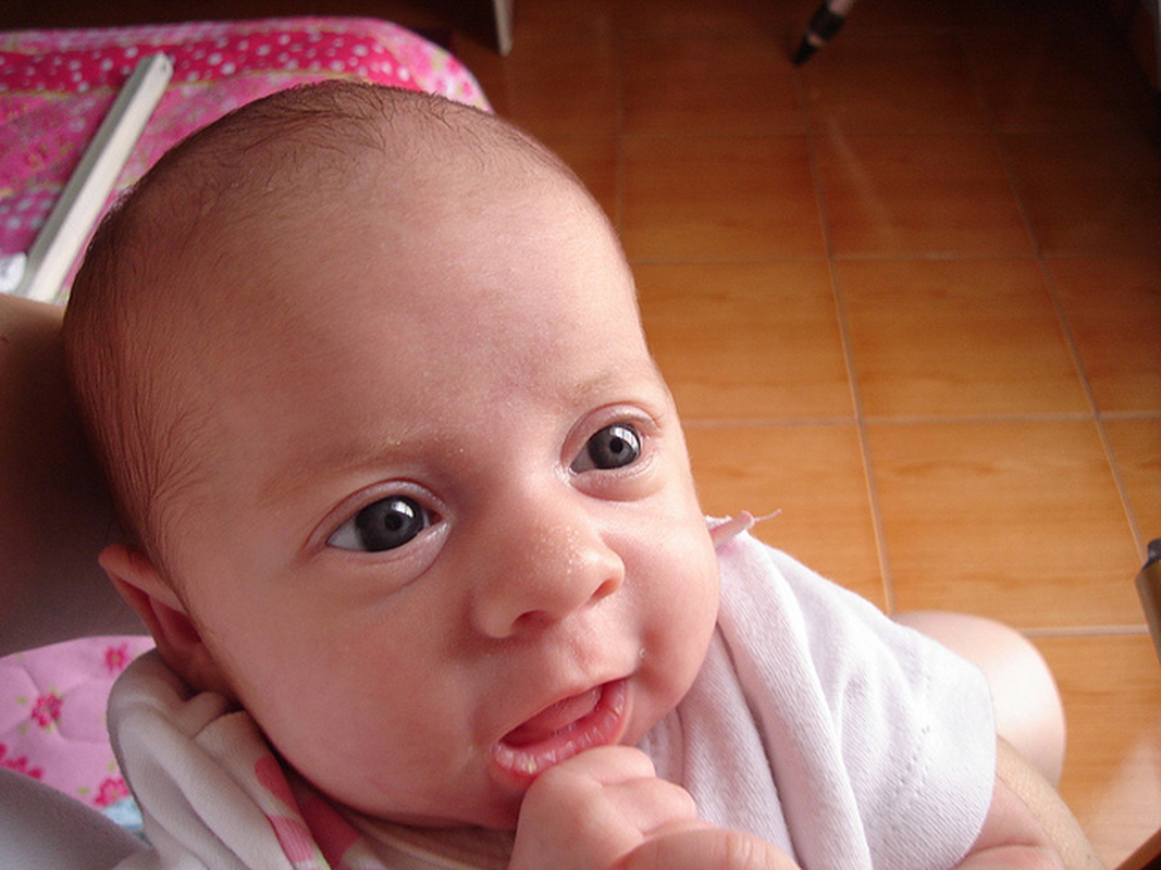 Iara Coutinho - Foto 4
