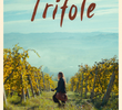 Trifole