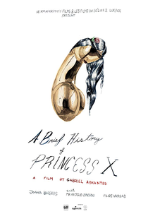 A Brief History of Princess X (A Brief History of Princess X)