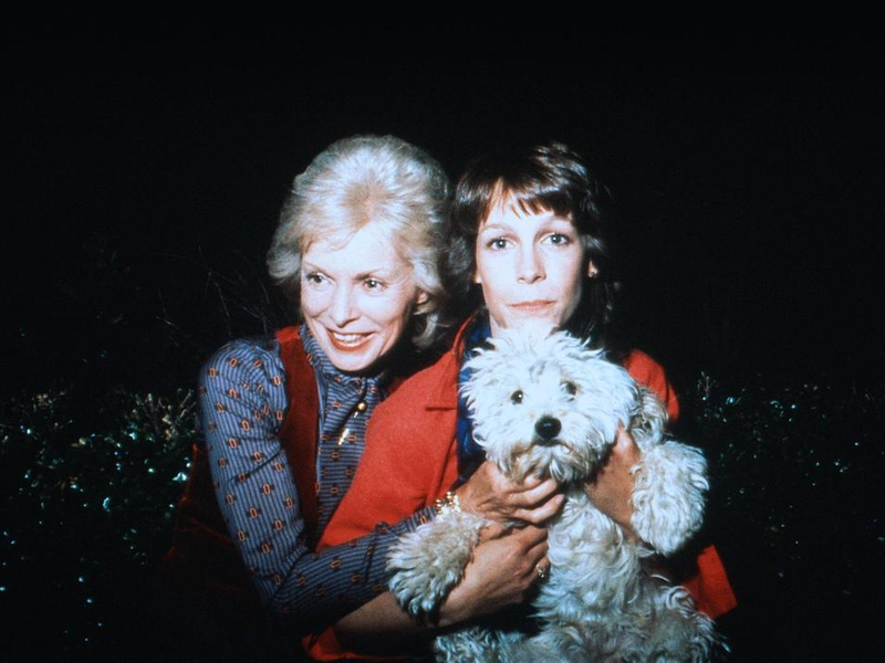 Foto 4 de A Bruma Assassina