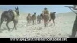 Trailer: Se Sei Vivo Spara