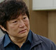 113회