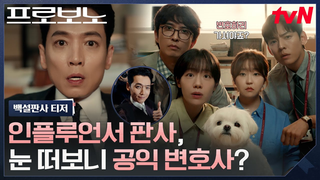 Trailer: [백설판사 티저] "여기는 나의 성🤴" 출세 쫓던 판사 정경호, 독사과 하나에 공익 변호사 되다😱 #프로보노 EP.0
