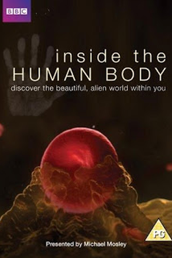 Poster de Série BBC – Dentro do Corpo Humano (2011)