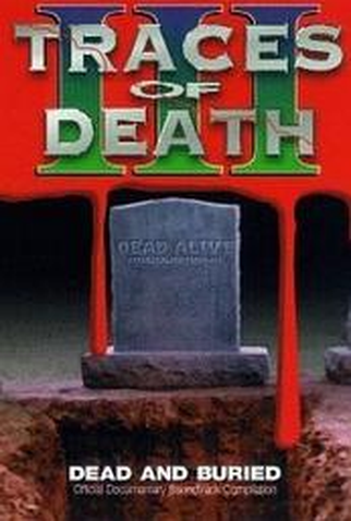 Poster 1 de Filme Traços da Morte III: Sangue e Catástrofes (1995)