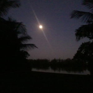 Foto de perfil de Nuvem