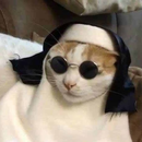 Foto de perfil de felisbinoreal