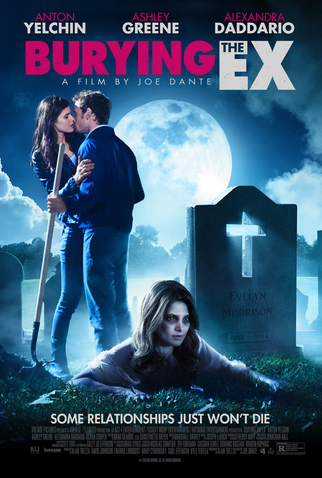 Poster 5 de Filme Enterrando Minha Ex (2014)