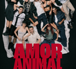 AMOR ANIMAL