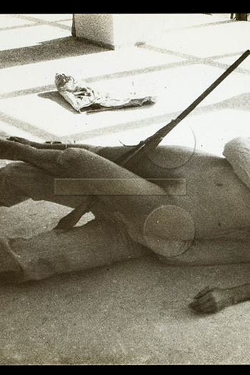 Poster de Curta Brabeza (1978)