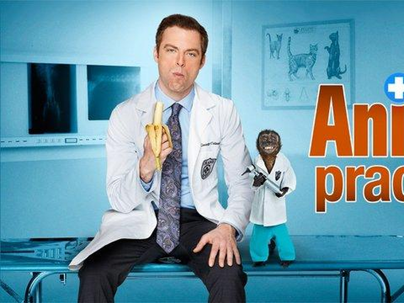 Foto 2 de Animal Practice