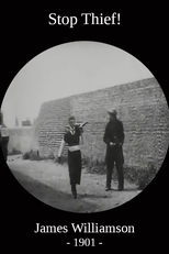 Pega Ladrão (Stop Thief!)