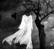 Rayo de Luna