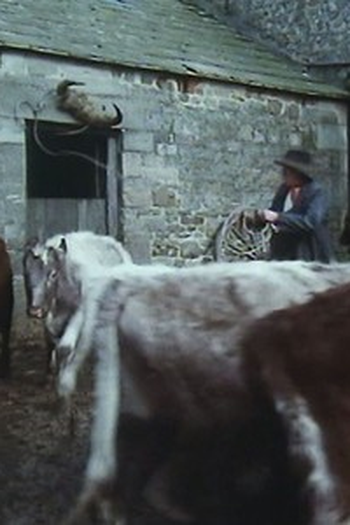 Poster de Episódio The Playing Field (1988)