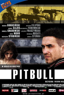 Pitbull - Poster / Capa / Cartaz - Oficial 1