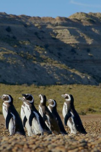 Poster de Episódio The Desert Coast (2022)