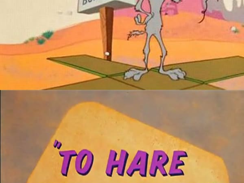 Foto 9 de Cérebro Quase Eletrônico