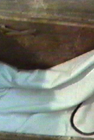 Poster 1 de Curta Nordeste (1981)