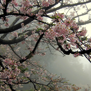 Foto de perfil de f666