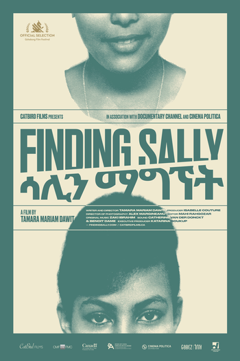 Poster de Filme Descobrindo Sally (2020)