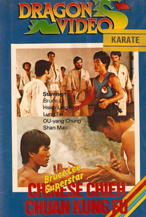 Bruce Lee - A História do Mestre - Poster / Capa / Cartaz - Oficial 2