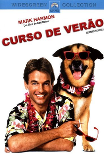 Curso de Verão - Poster / Capa / Cartaz - Oficial 4