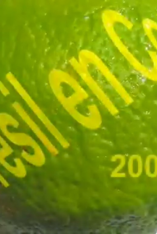 Poster 1 de Curta Brésil en Courts (2008)