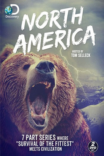 Poster de Franquia North America (2013)