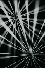 Ideas in Search of Light (Myšlenka hledající světlo)