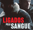 Ligados pelo Sangue